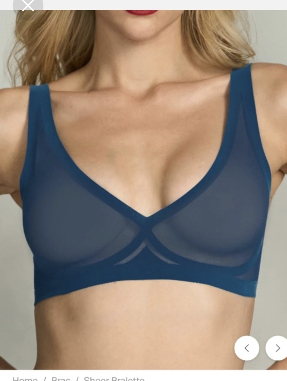 EBY Sheer Bralette - Blue